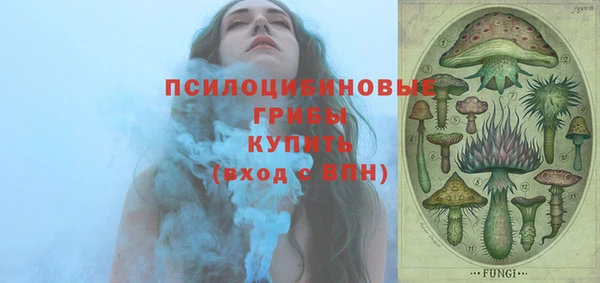 спайс Алзамай