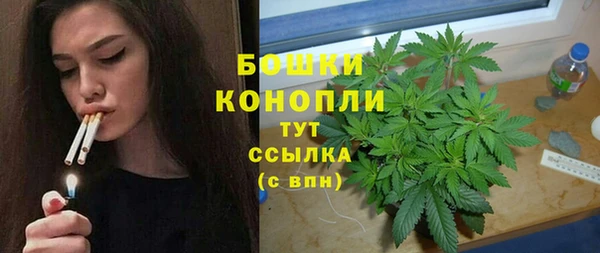 спайс Алзамай