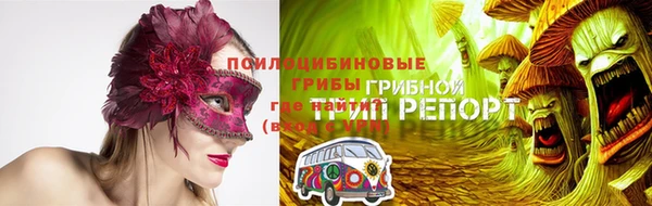 спайс Алзамай