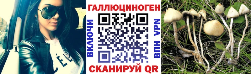 Галлюциногенные грибы мицелий Ивангород