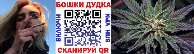 Бошки Шишки гибрид  Ивангород 